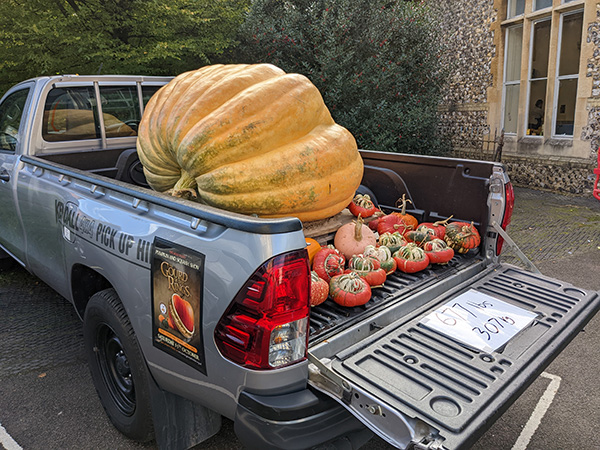 giant-van-pumpkin